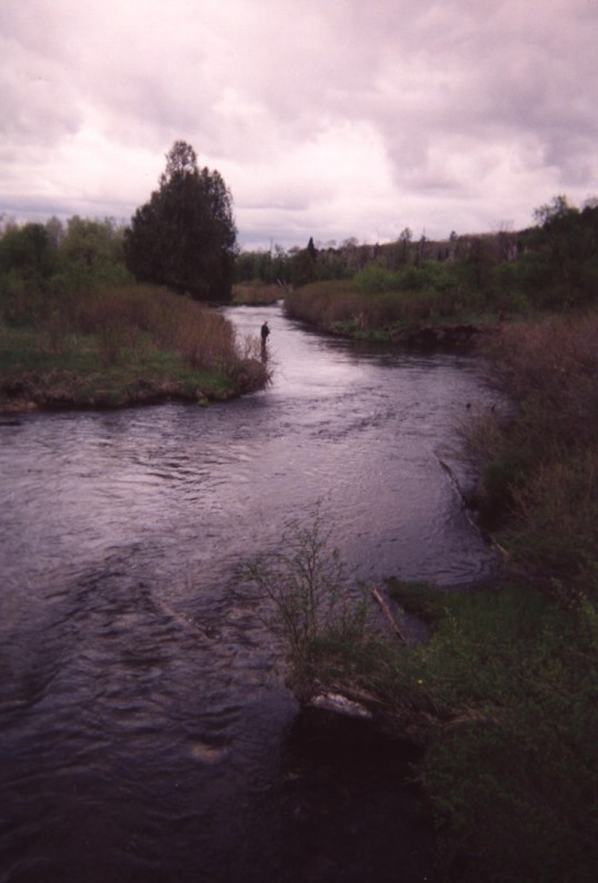 sturgeon river