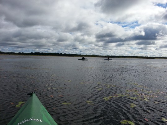 Luther and Feral on Dog Lake