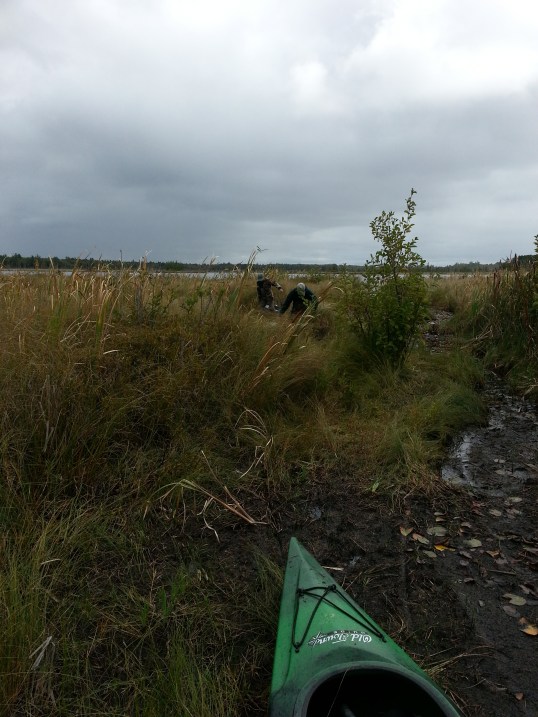 Natch waiting on Luther and Feral coming off Dog Lake