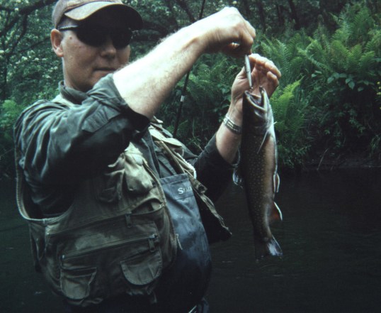 Feral with brook trout