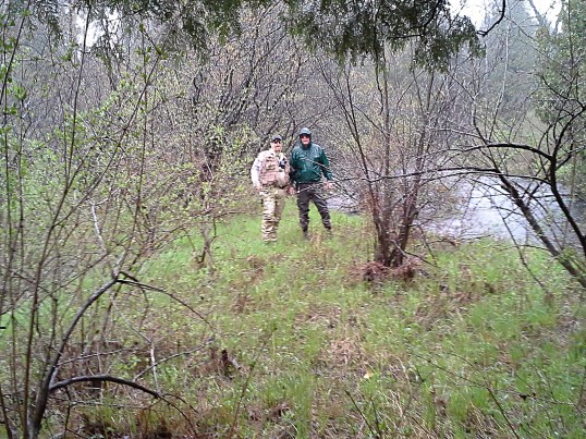 Natch and Feral, Little South