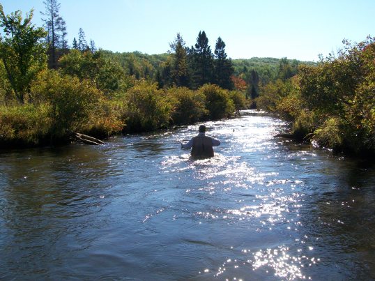 Natch on the Sturgeon