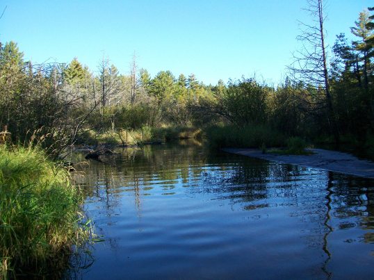 Cornwall Flats section, Pigeon River