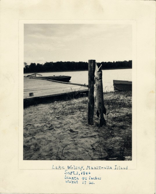 Esox Lucius, photo courtesy Jake Lucas Archive